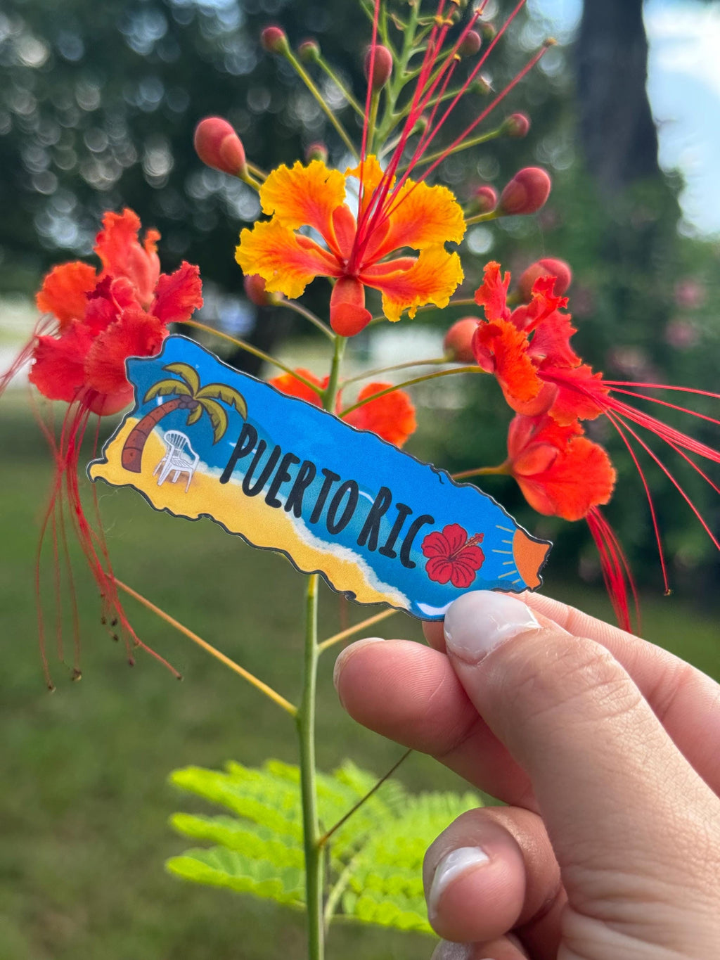Puerto Rico Map Vinyl Sticker