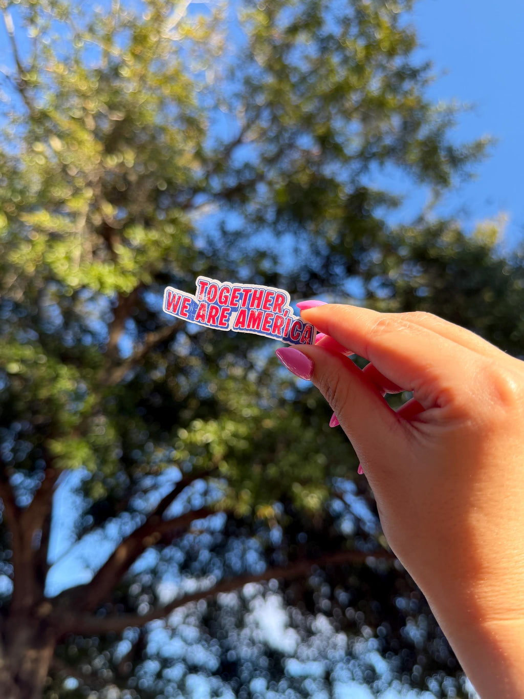 Together We Are America Unity Vinyl Sticker