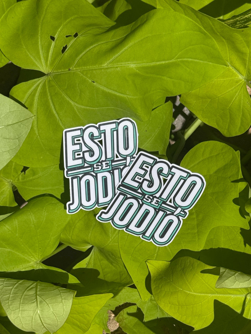 Puerto Rican Slang Humor Vinyl Sticker
