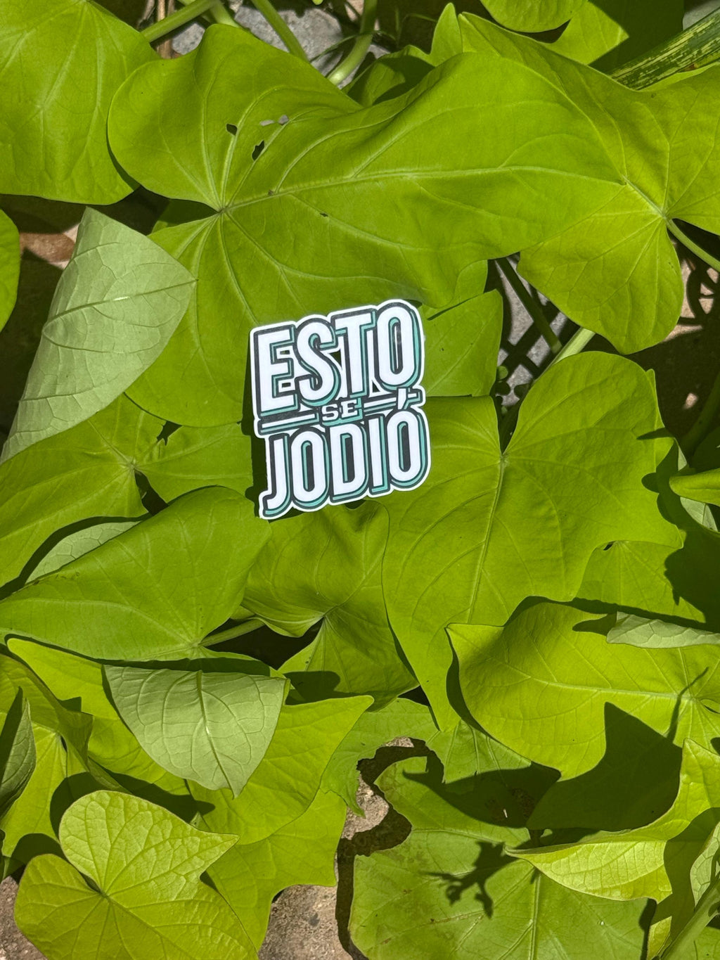 Puerto Rican Slang Humor Vinyl Sticker