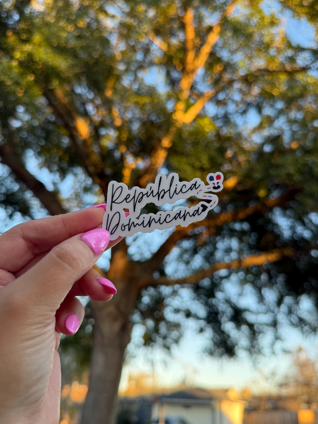 Minimalist Latino Country Flag Vinyl Sticker