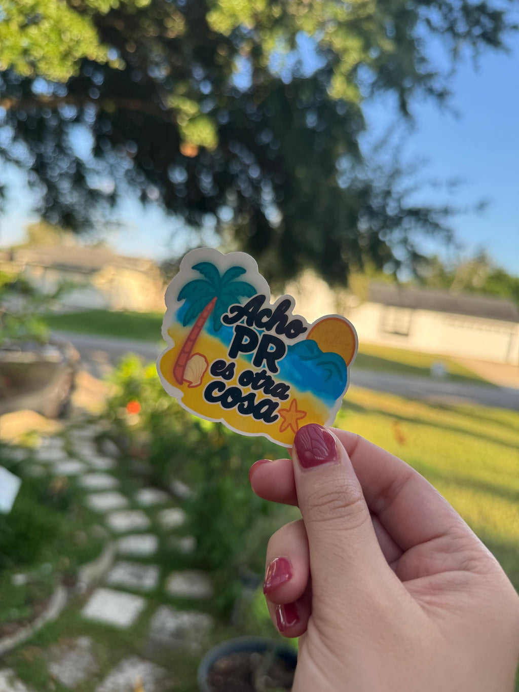 Acho PR Is Something Else Vinyl Sticker Vol. 2
