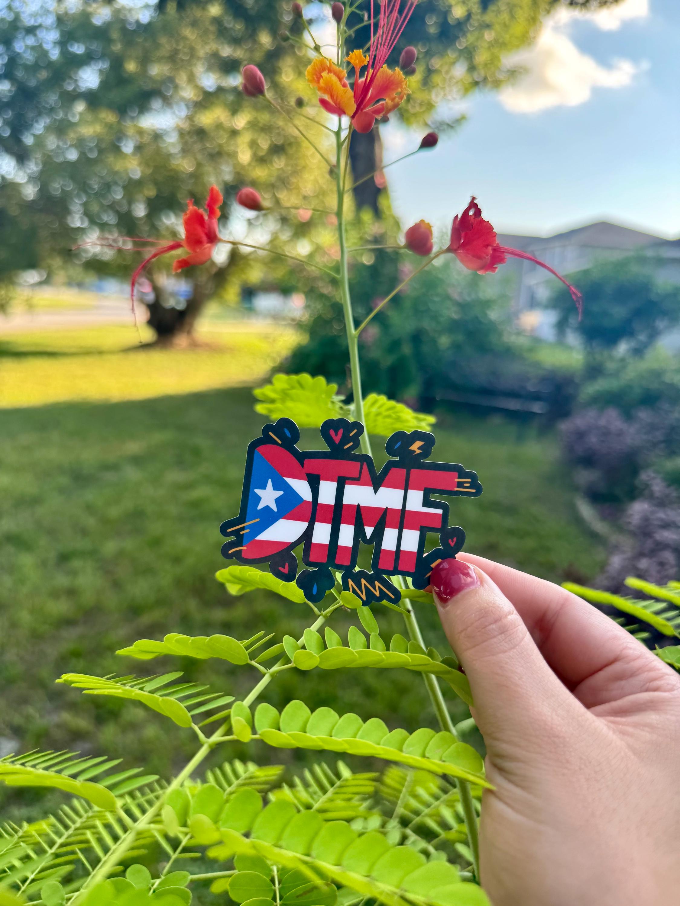 DTMF Bad Bunny Residencia Vinyl Sticker