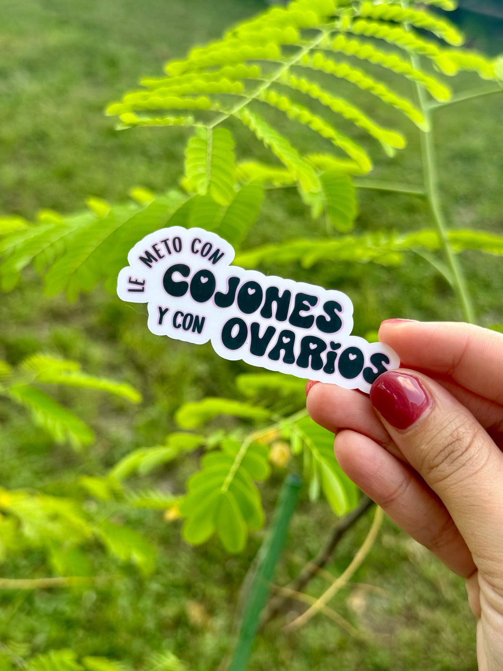 Lo Puse con Huevos y Ovarios Vinyl Sticker