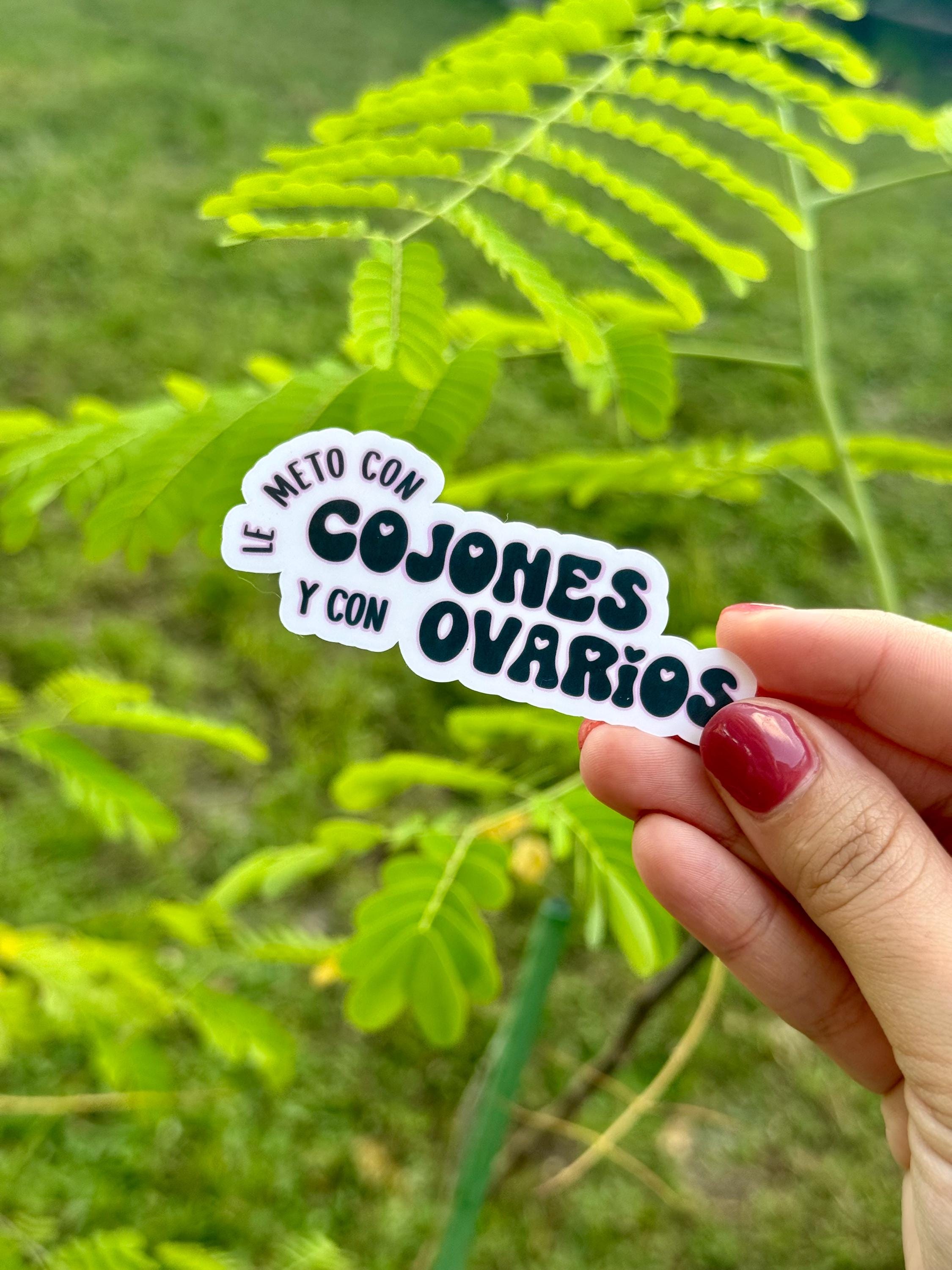Lo Puse con Huevos y Ovarios Vinyl Sticker