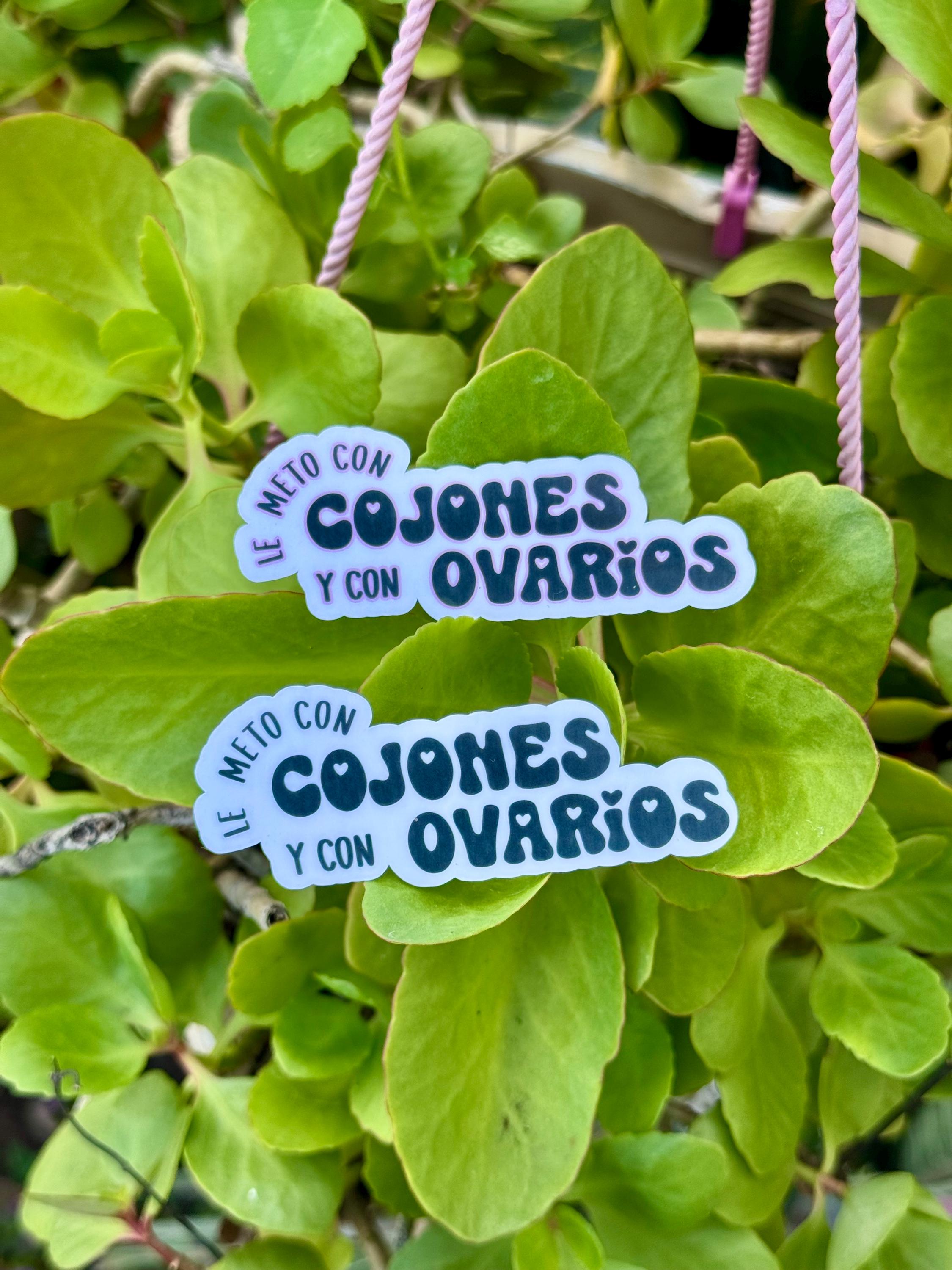 Lo Puse con Huevos y Ovarios Vinyl Sticker