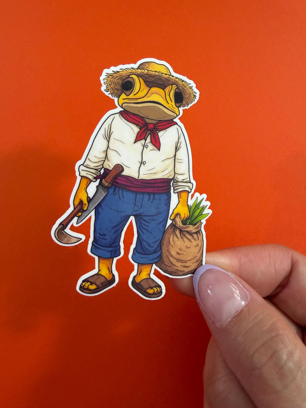 Sapo Concho Jíbaro Vinyl Sticker