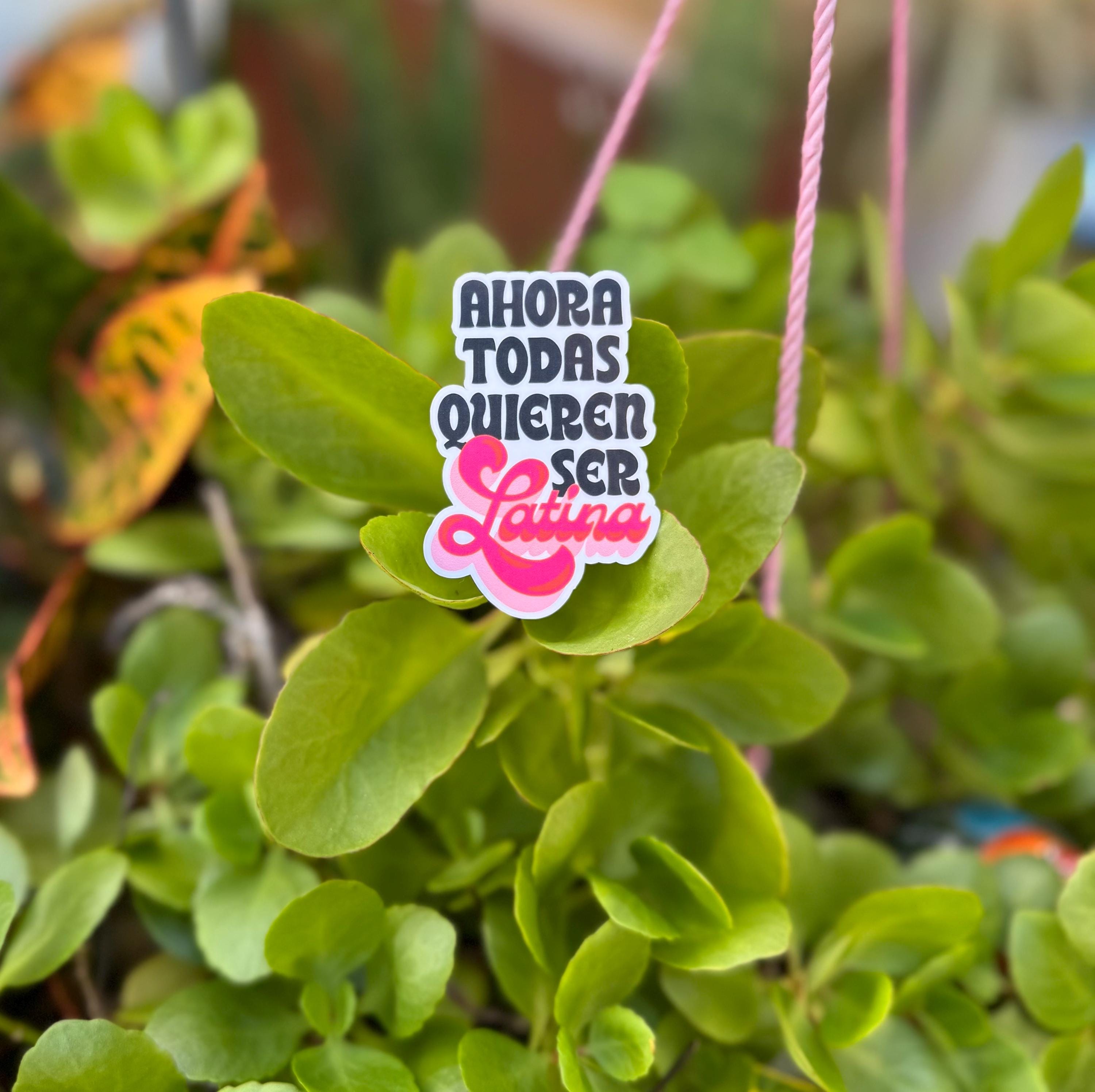 Now Everyone Wants to Be Latina Vinyl Sticker