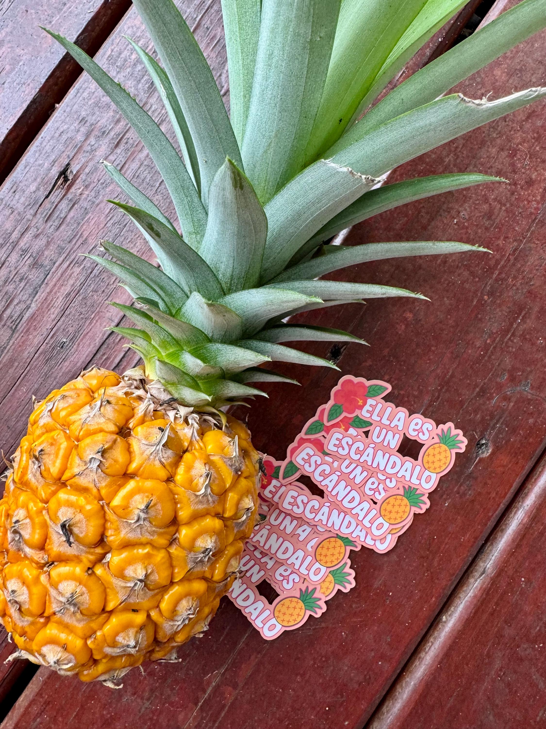 Tropicoqueta Karol G Inspired Vinyl Sticker