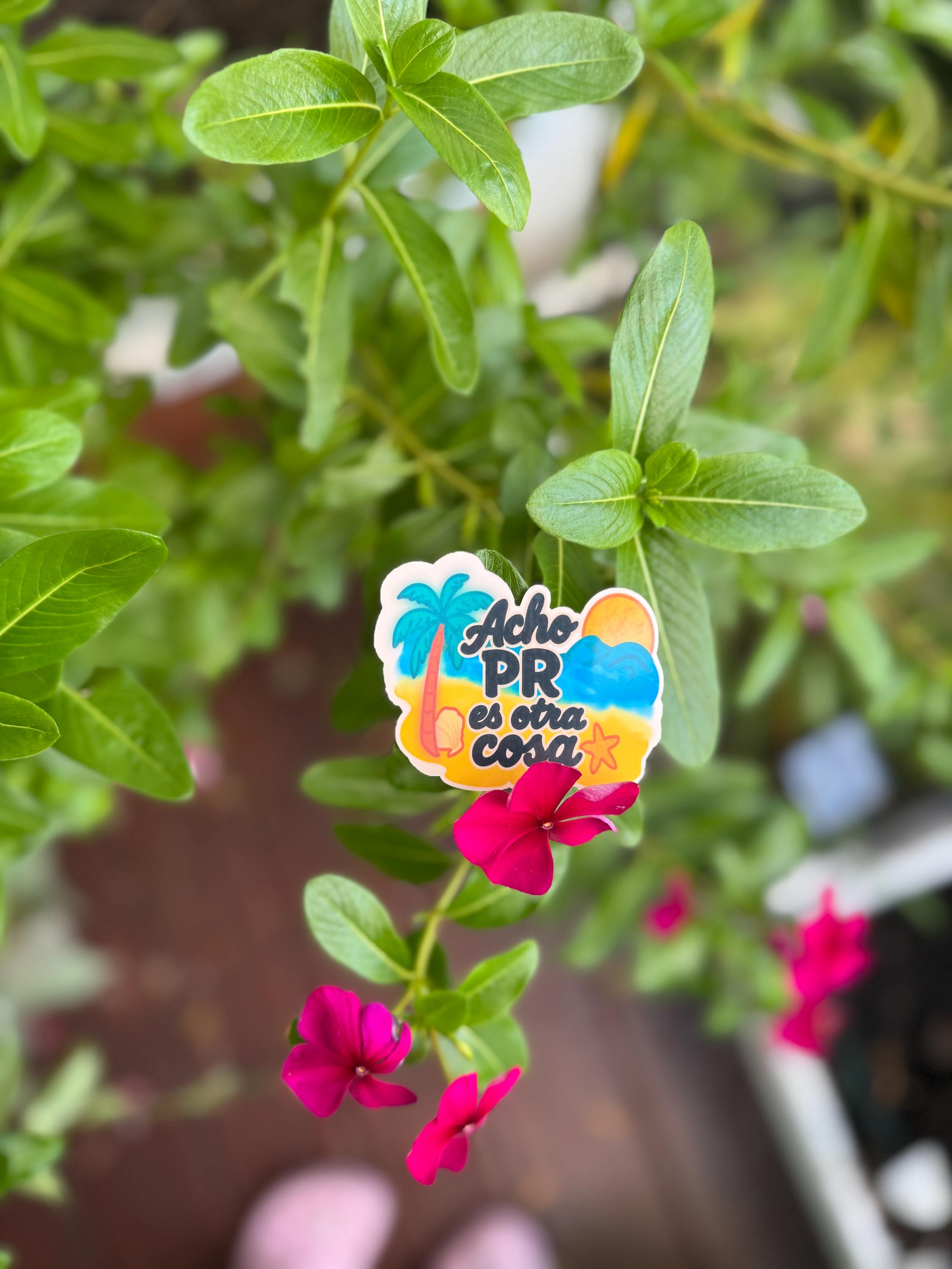 Acho PR Is Something Else Vinyl Sticker Vol. 2