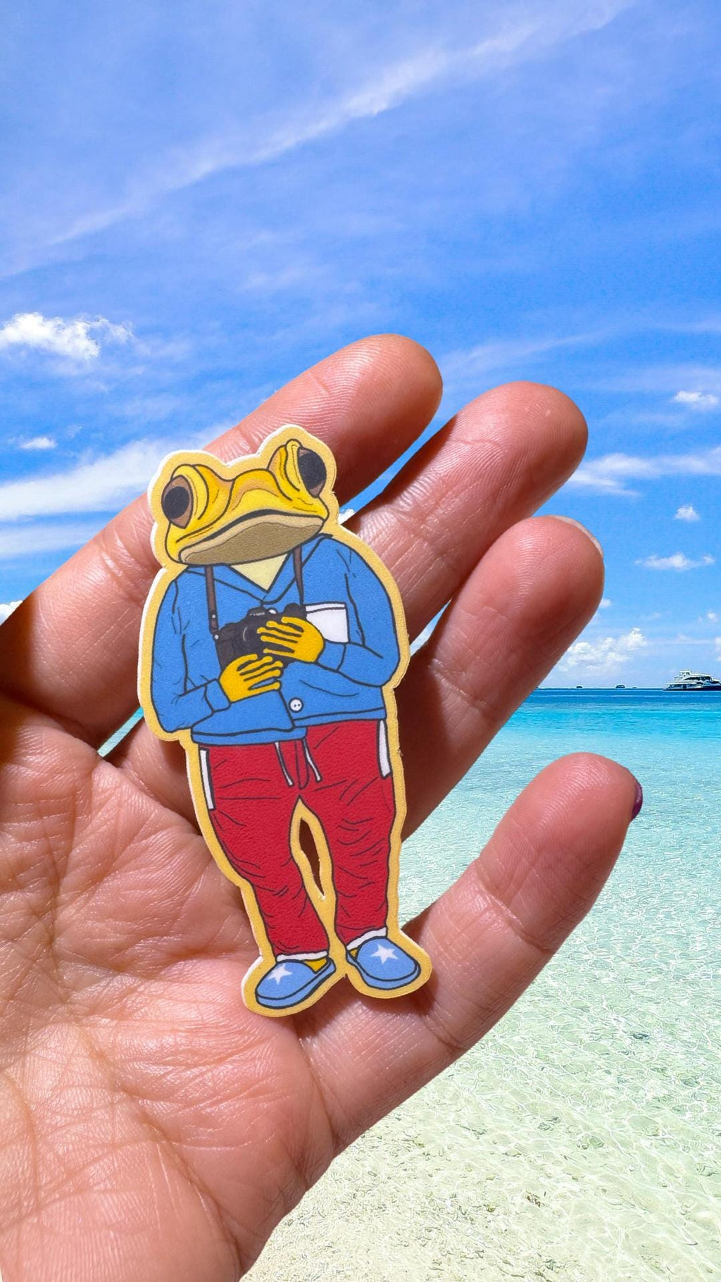 Sapo Concho de Puerto Rico