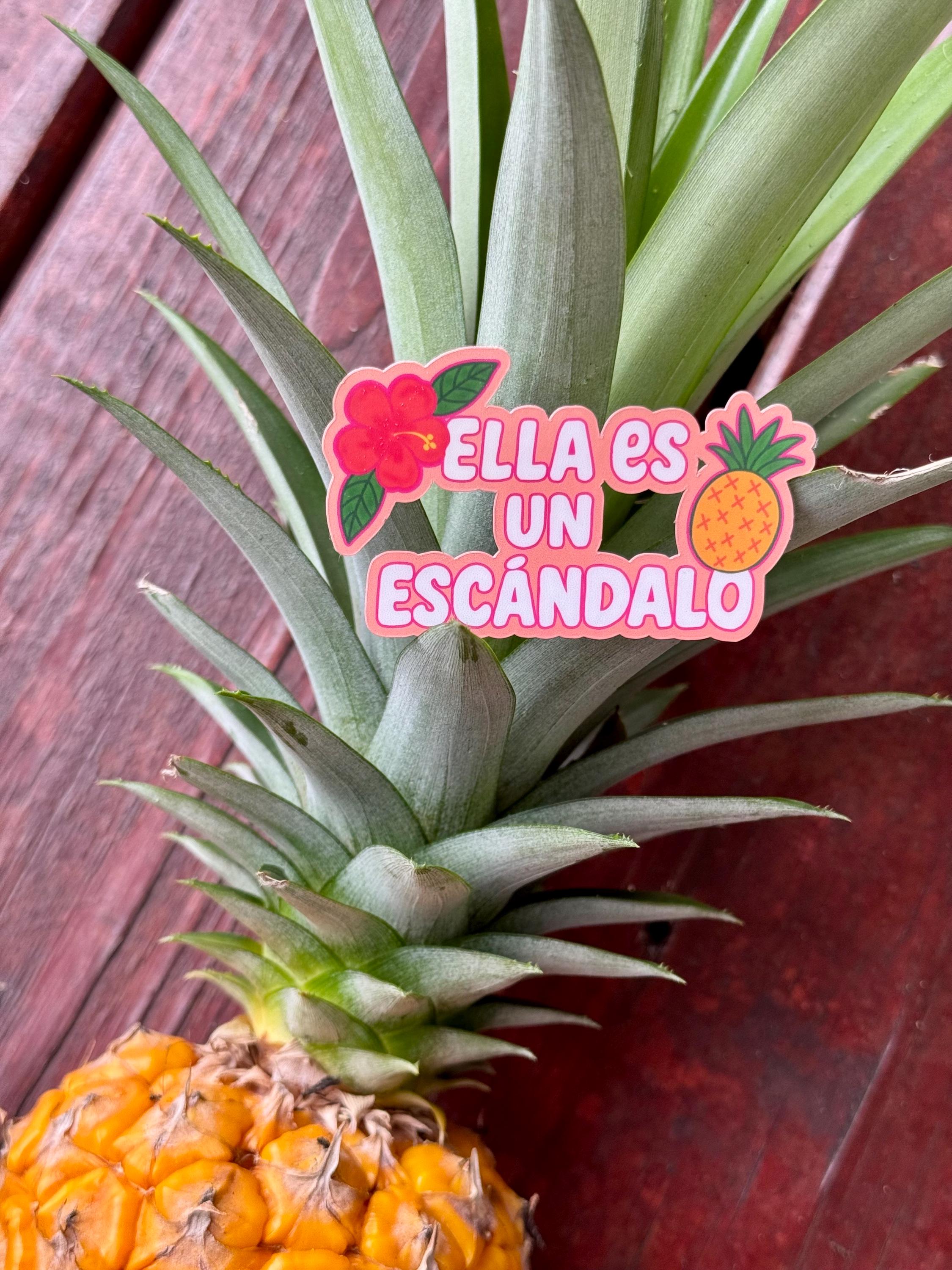 Tropicoqueta Karol G Inspired Vinyl Sticker