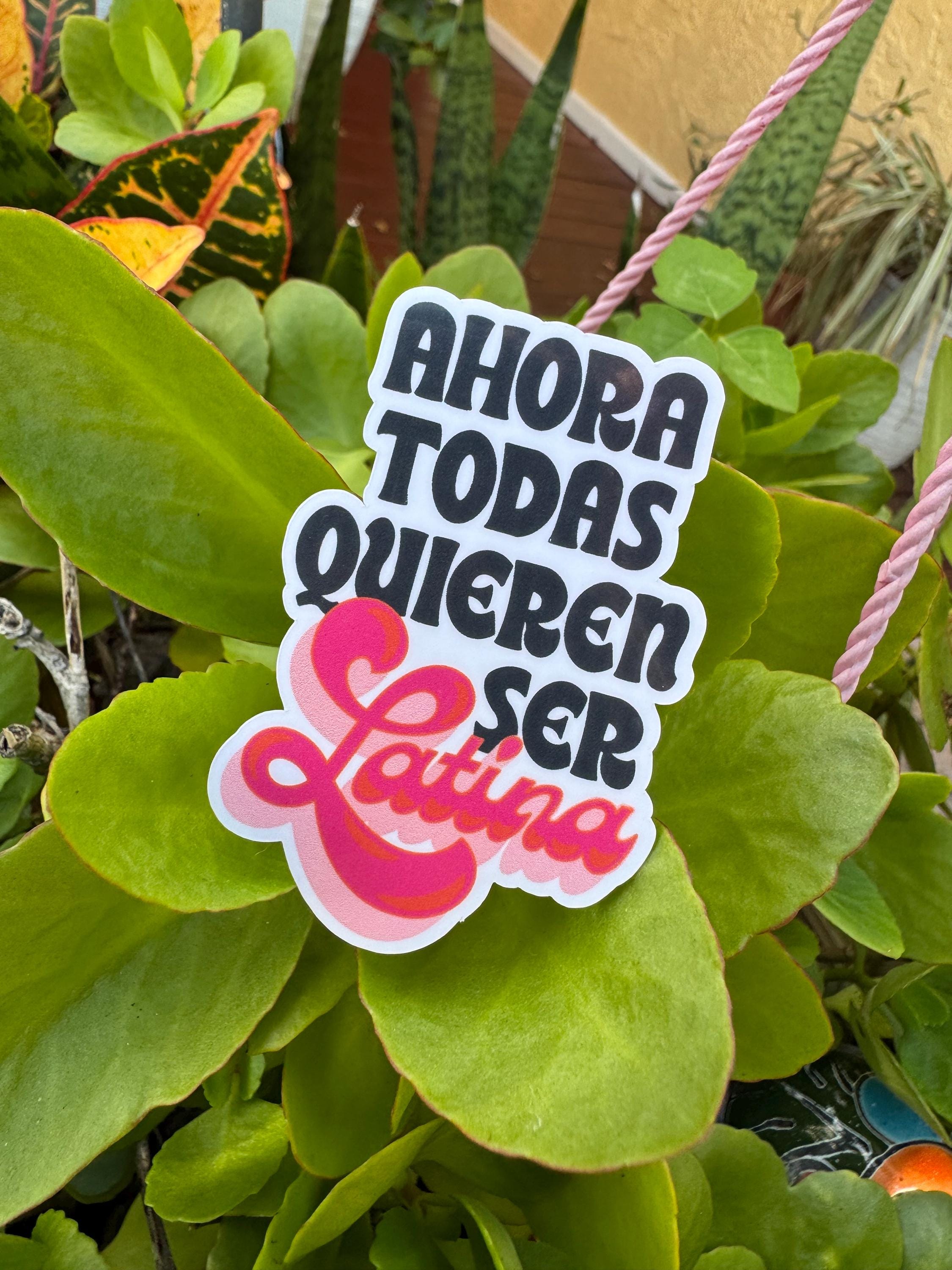 Now Everyone Wants to Be Latina Vinyl Sticker