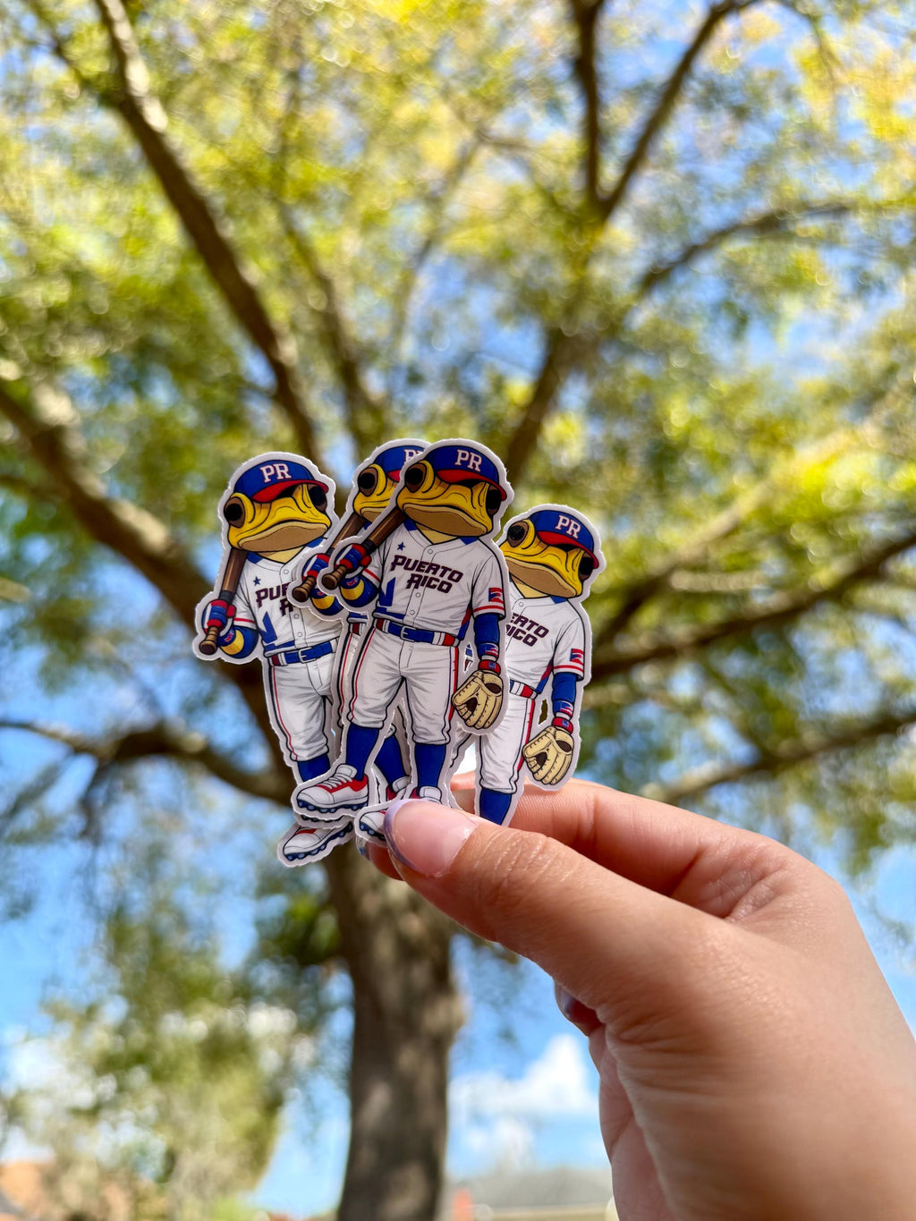 Puerto Rico Baseball Sapo Concho Vinyl Sticker