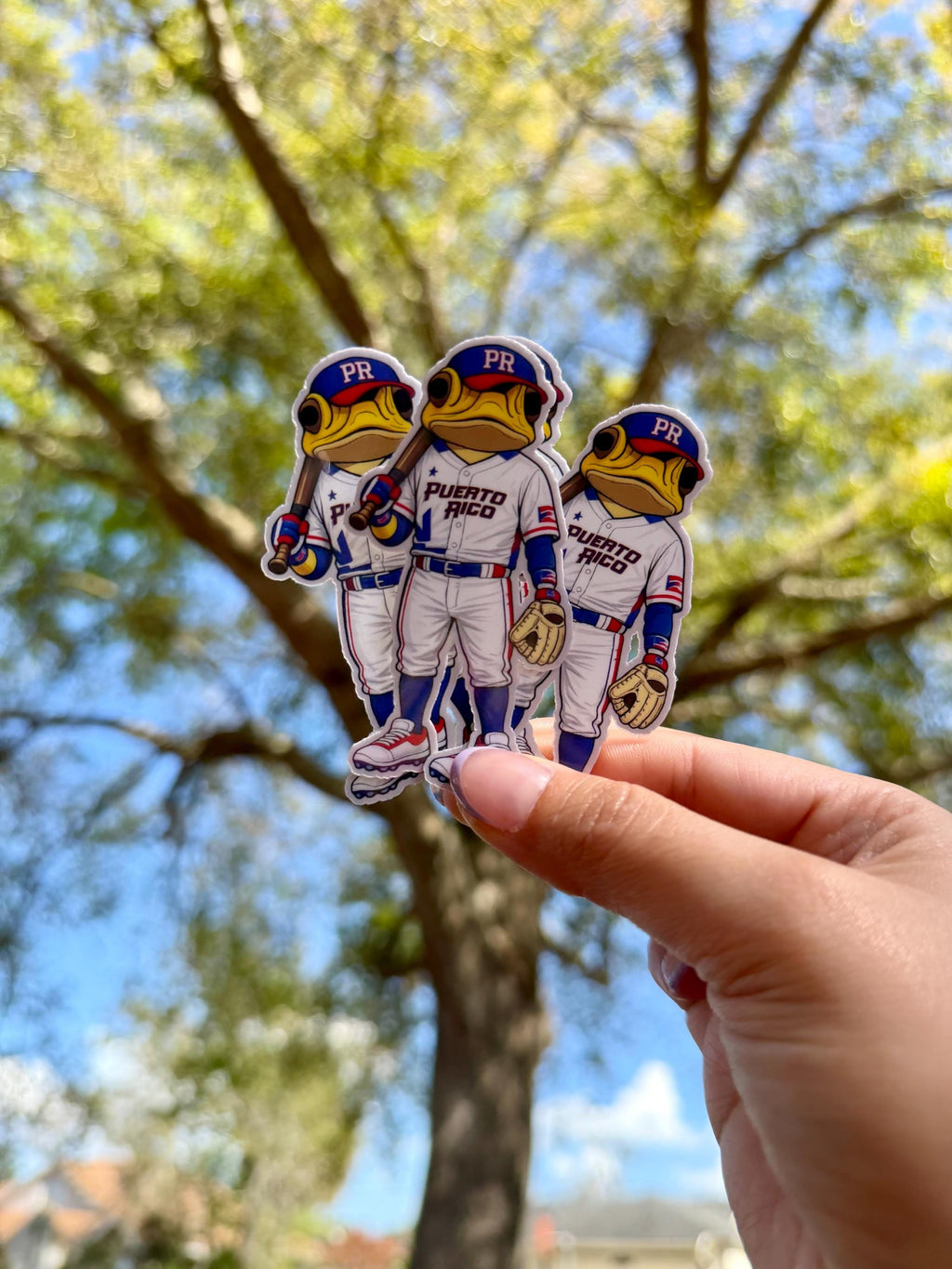 Puerto Rico Baseball Sapo Concho Vinyl Sticker