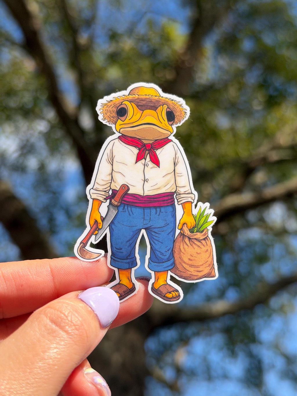 Sapo Concho Jíbaro Vinyl Sticker