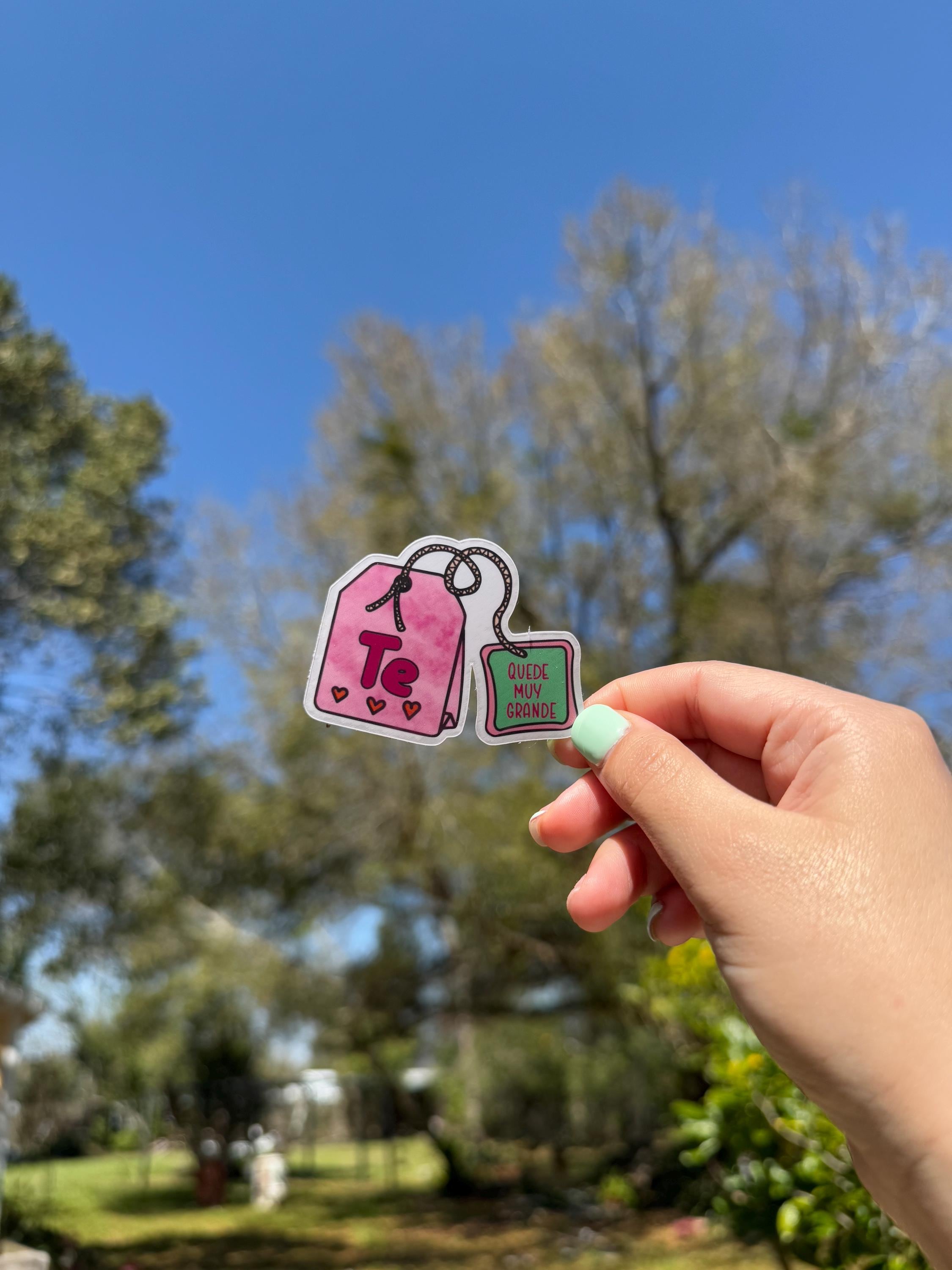 Estabas Muy Grande Sassy Spanish Vinyl Sticker