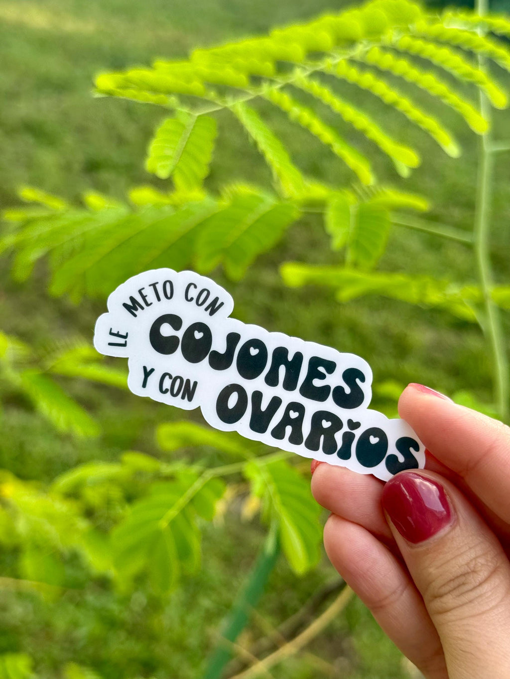 Lo Puse con Huevos y Ovarios Vinyl Sticker