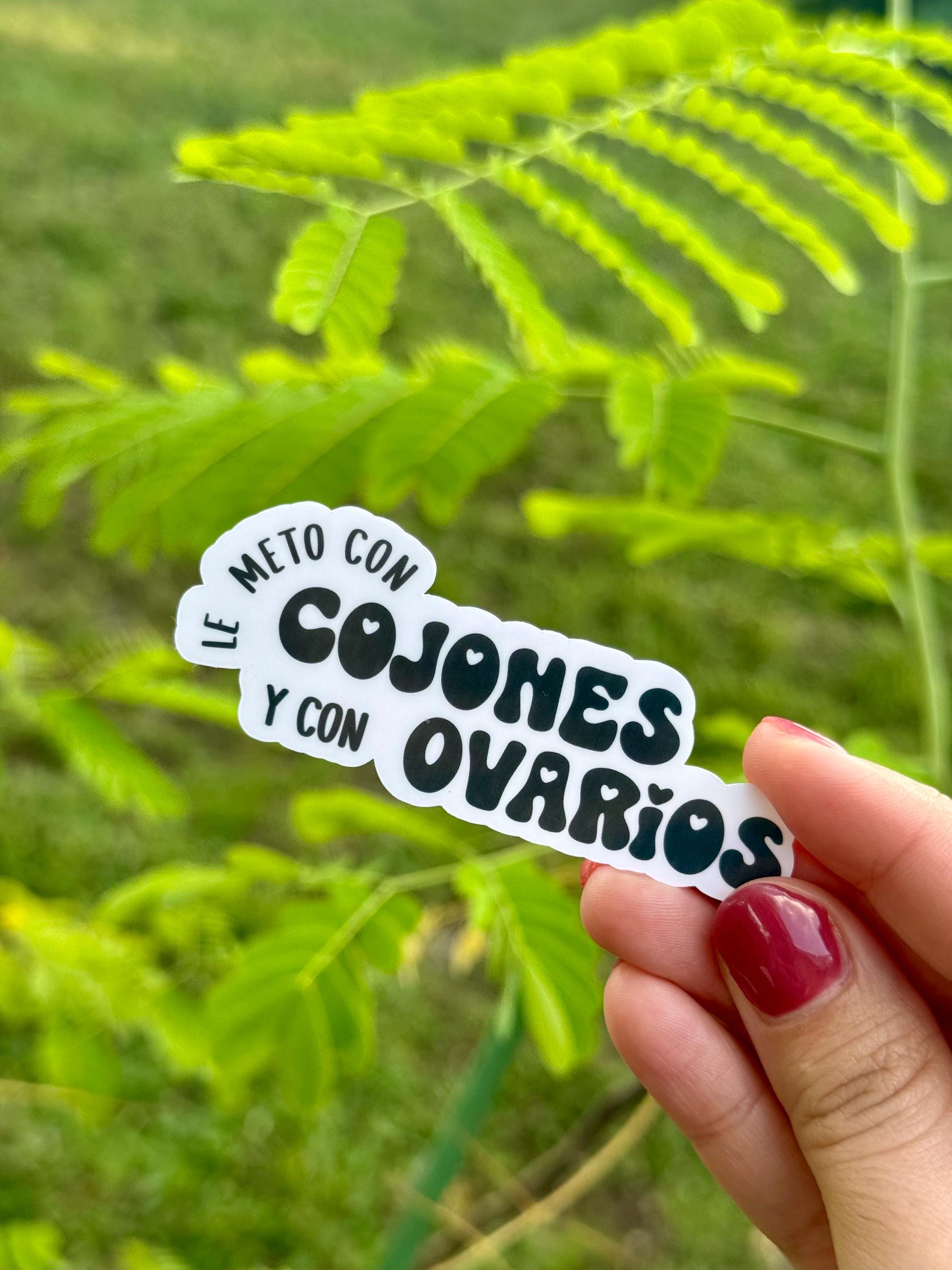 Lo Puse con Huevos y Ovarios Vinyl Sticker