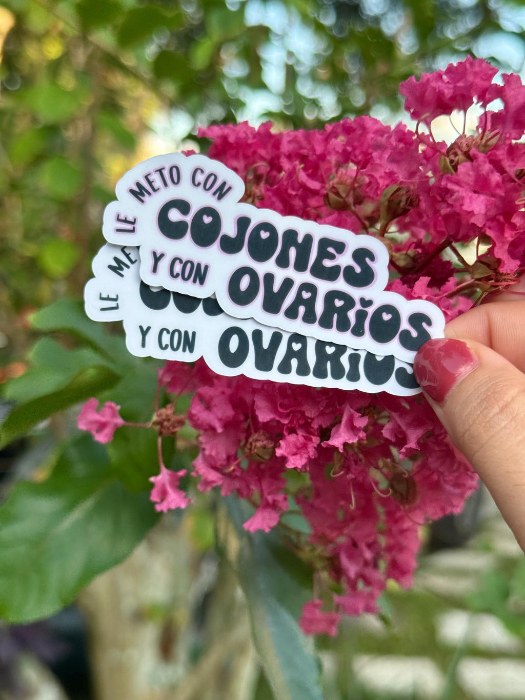 Lo Puse con Huevos y Ovarios Vinyl Sticker