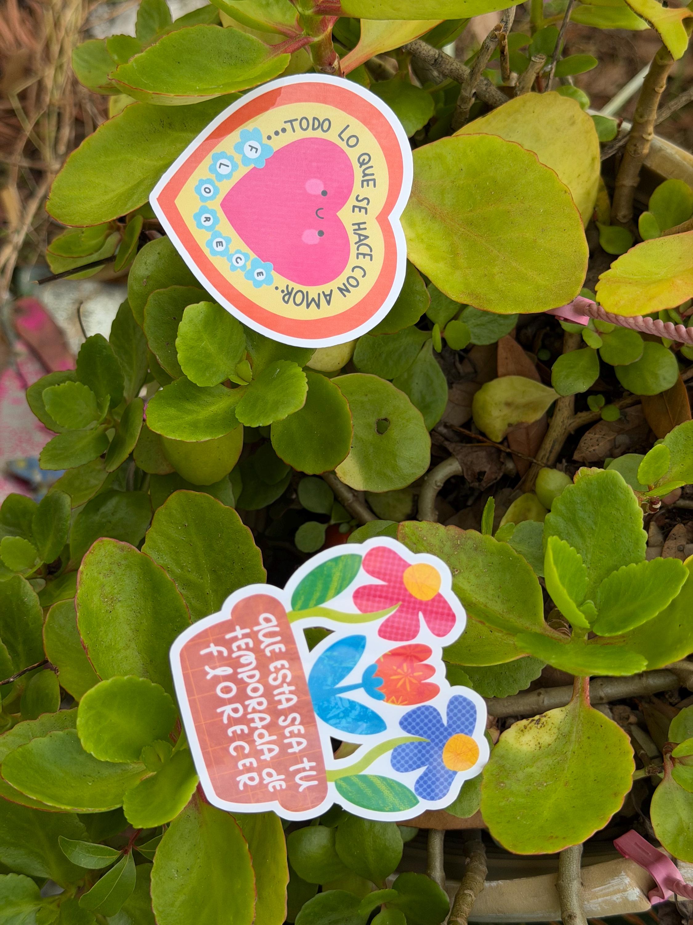 This Is Your Season of Flourishing Vinyl Sticker