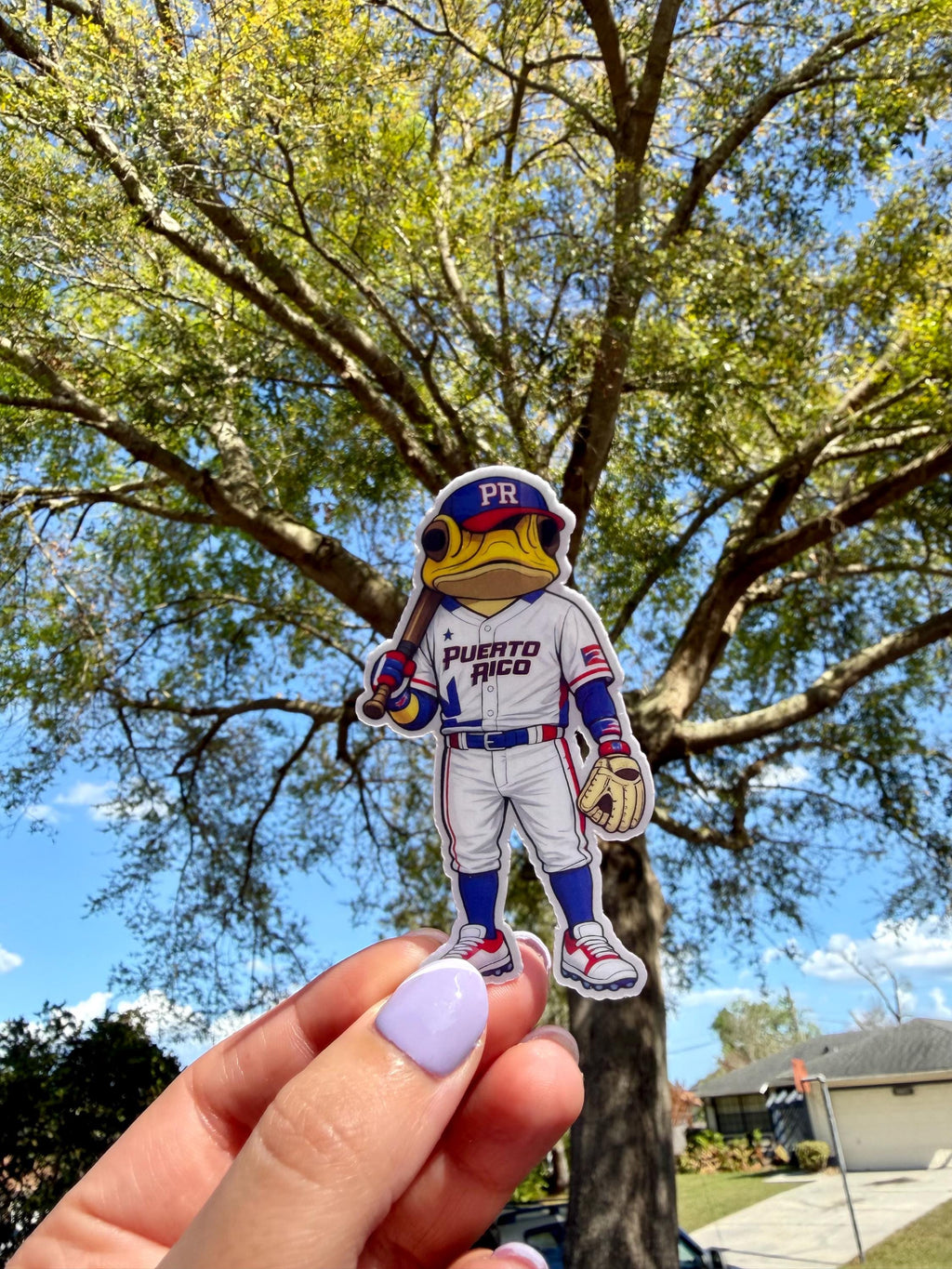 Puerto Rico Baseball Sapo Concho Vinyl Sticker