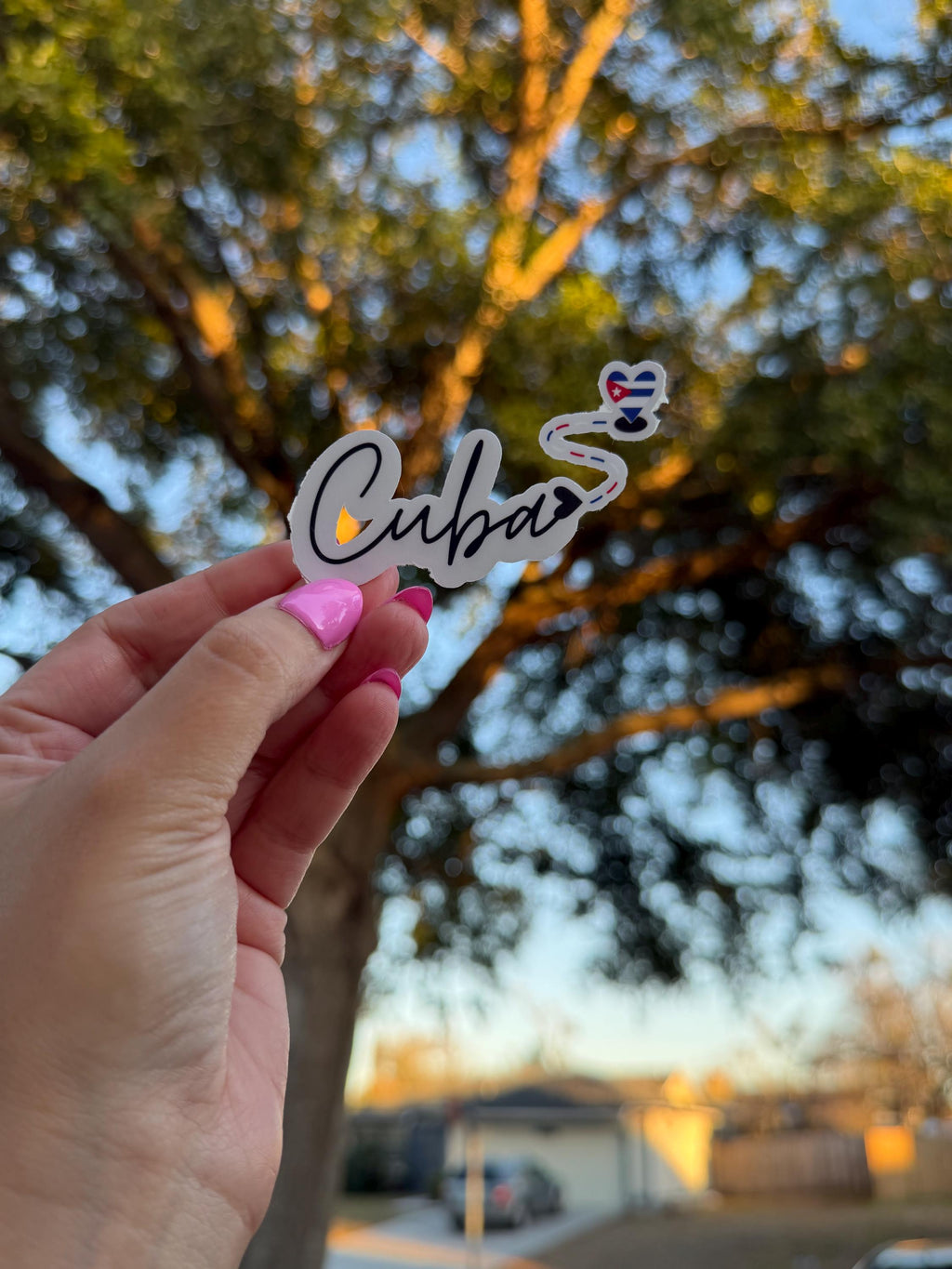 Minimalist Latino Country Flag Vinyl Sticker