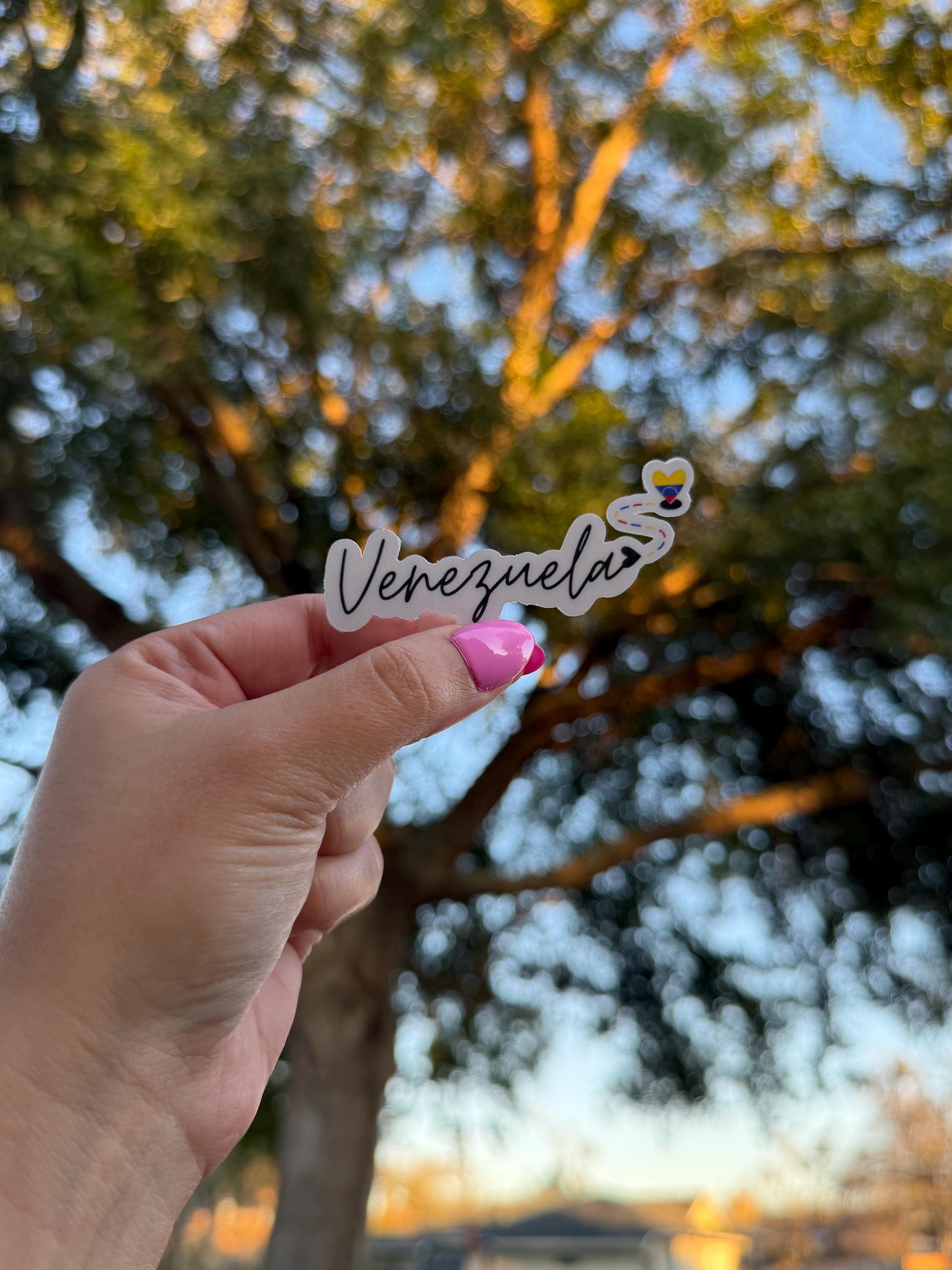 Minimalist Latino Country Flag Vinyl Sticker